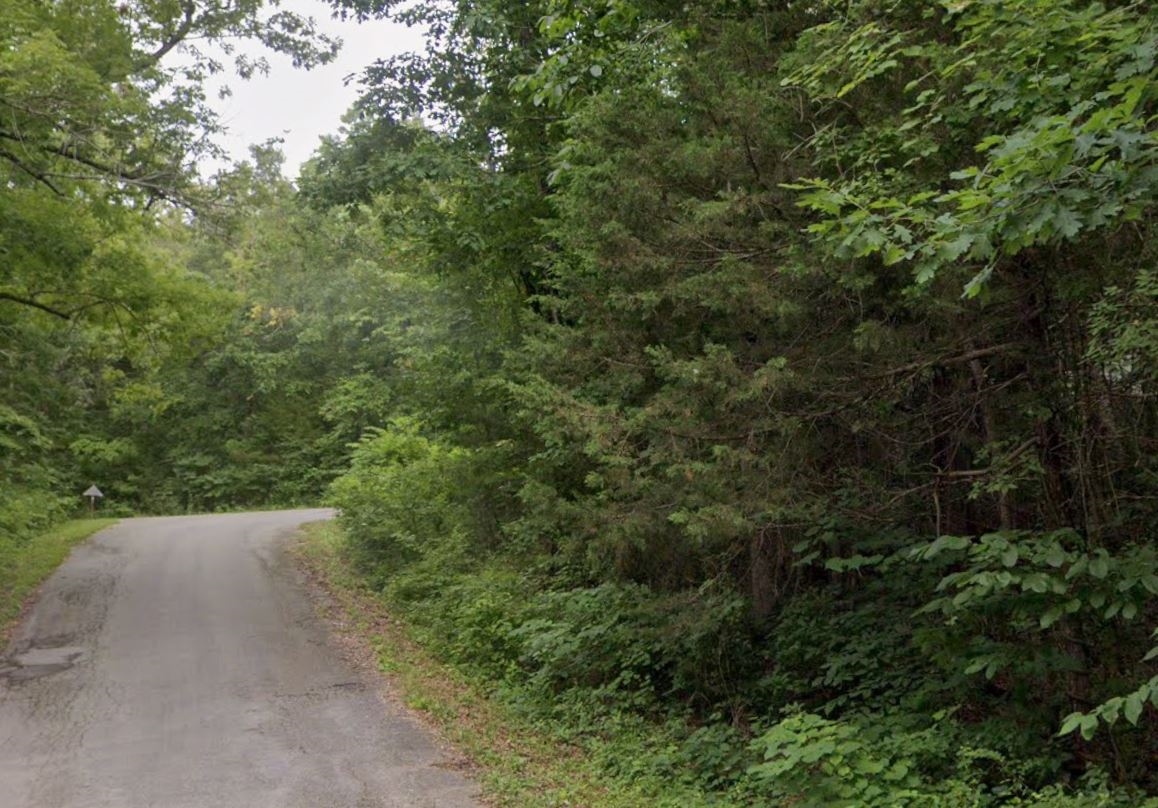 Great Location! Arkansas Sharp County 0.31 Acre Cherokee Village Lot near Lakes and Town! Nice Road Access off Highway! Low Monthly Payment! - Image 11