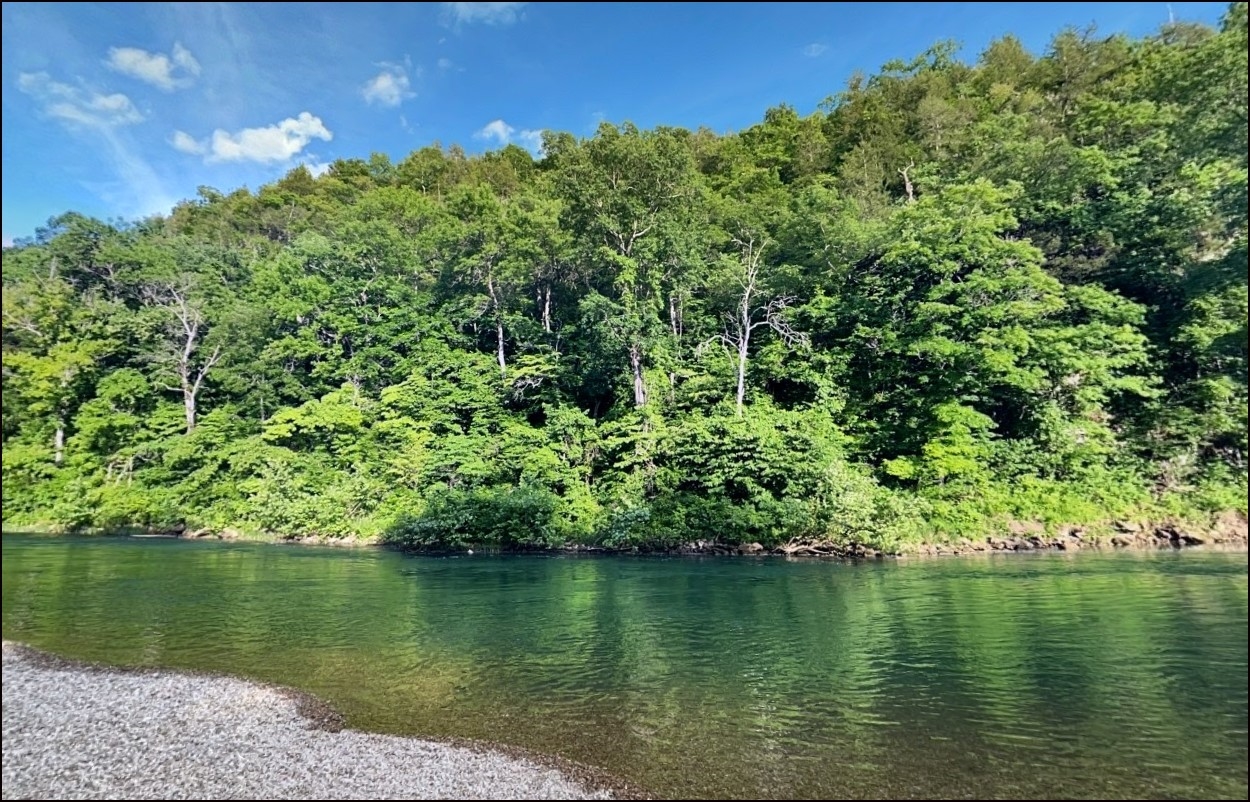 Large Arkansas Sharp County Cherokee Village Lot Great Recreational Homesite next to Two Parks Surrounded by Lakes! Low Monthly Payments! - Image 4