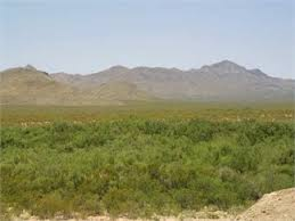 Texas Hudspeth County 10 Acre Off Grid Mountain Stronghold Property! Superb Outdoor Recreation with Incredible Views! Low Monthly Payments! - Image 3