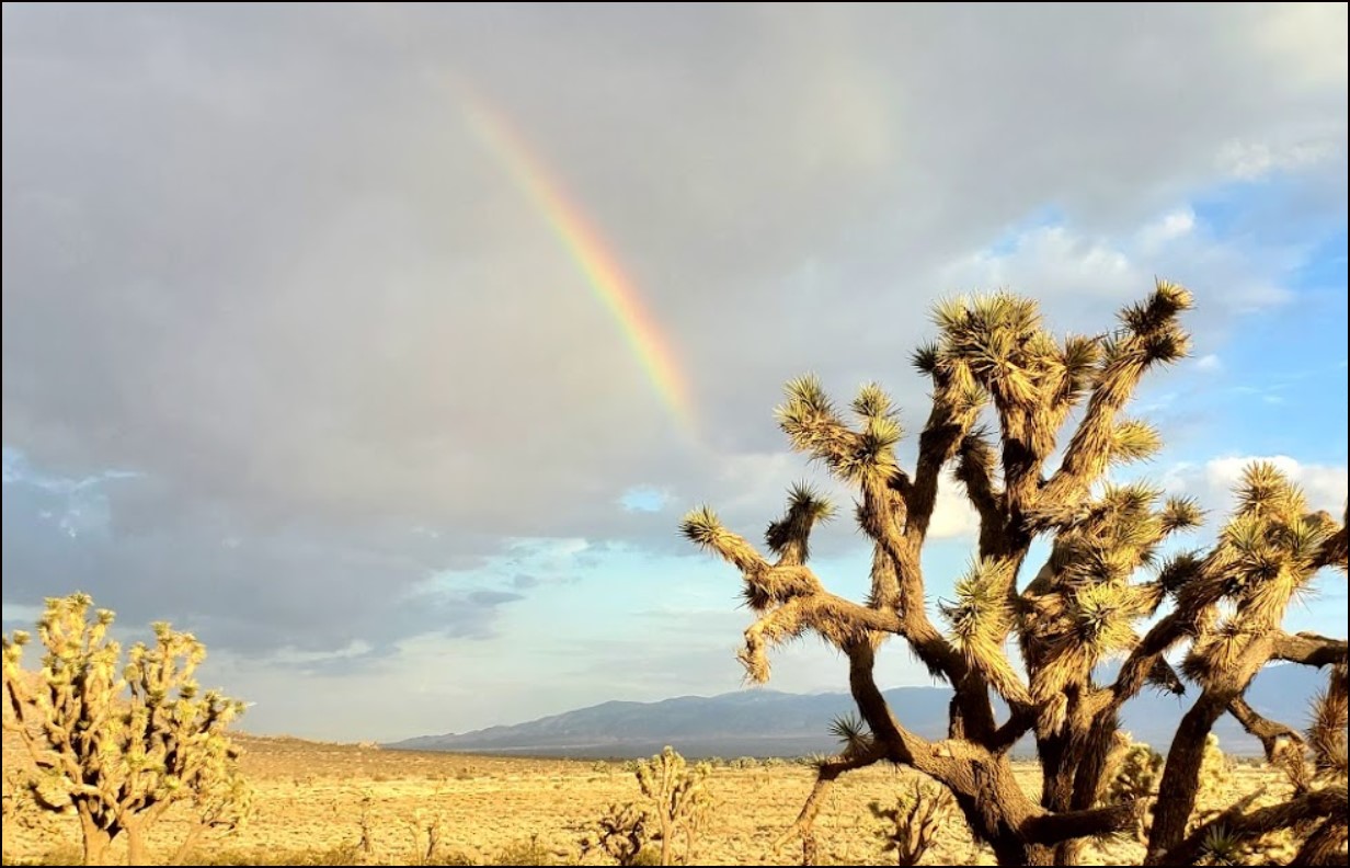 San Bernardino County 2.5 Acre Southern California Property near Barstow and Development! Great Size Property Investment! Low Monthly Payments!