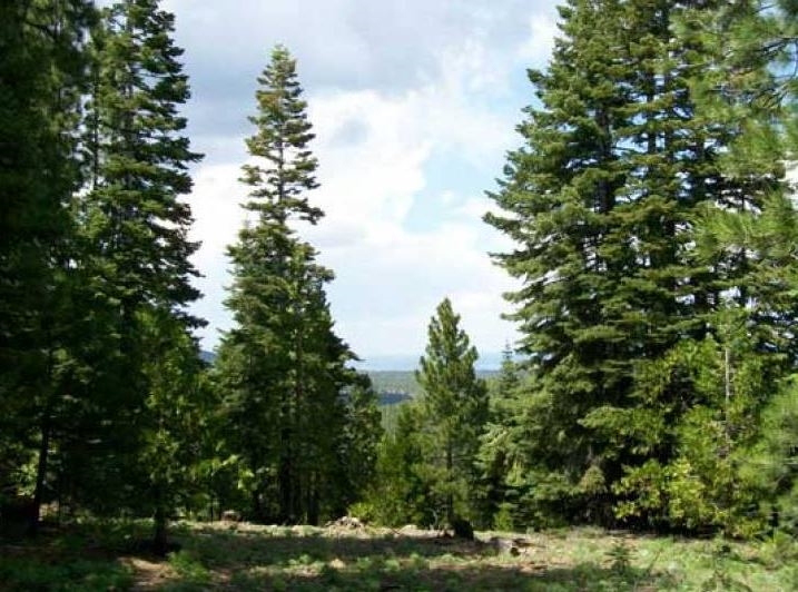 Northern California Modoc County 0.92 Acre Lot with Incredible Mountain Views! Great Local Hiking by Hermin Butte! Low Monthly Payments! - Image 5