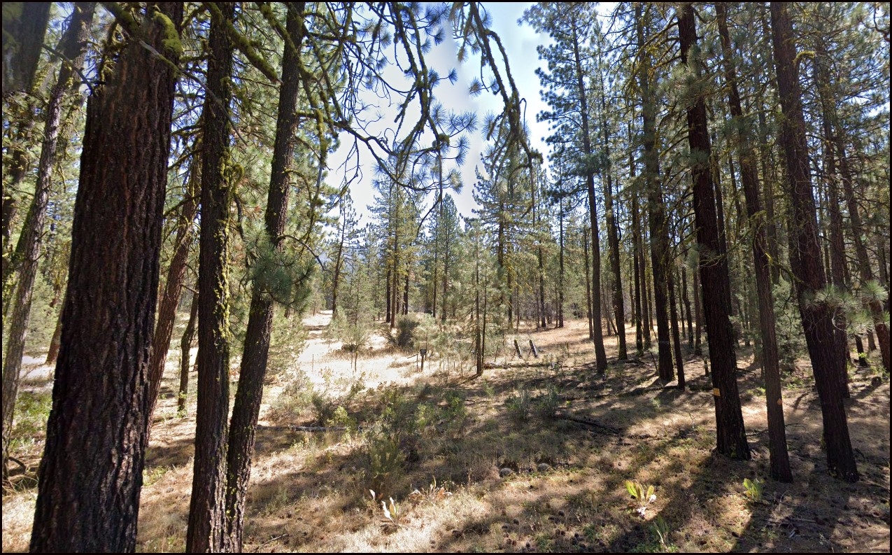 Northern California Modoc County 0.92 Acre Lot with Incredible Mountain Views! Great Local Hiking by Hermin Butte! Low Monthly Payments! - Image 6