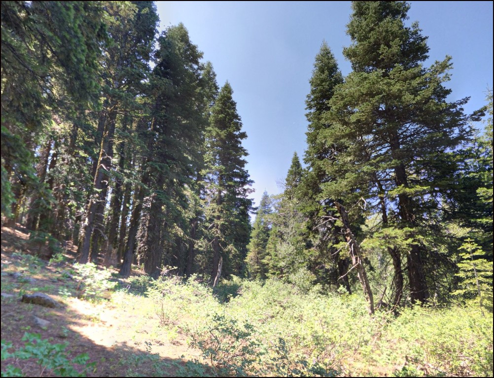 Hilltop California Pines Parcel Framed by Forest and Northern Modoc Views - Image 2