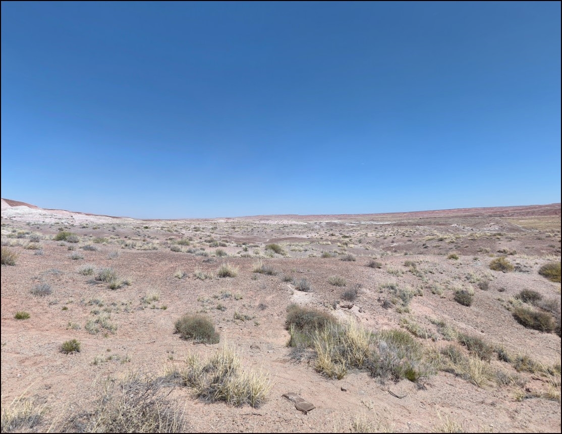 Arizona Navajo County 10 Acre Property near The Painted Desert and Petrified Forest National Park! Great Recreational Land! Low Monthly Payments!