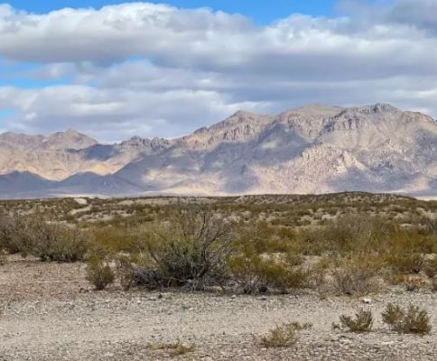 Direct Dirt Road Access! Texas Hudspeth County 10.10 Acre Property next to Rio Grande River! Fantastic Investment! Low Monthly Payments! - Image 5