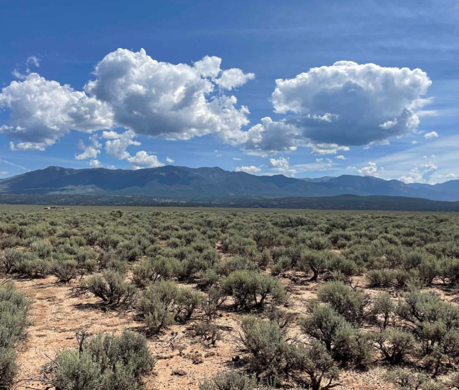Hudspeth County Desert Parcel Near the Rio Grande and Quitman Mountain Country - Image 4