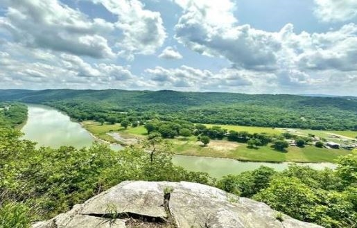 Freedom Acres | Off-Grid Land Auction - Image 6
