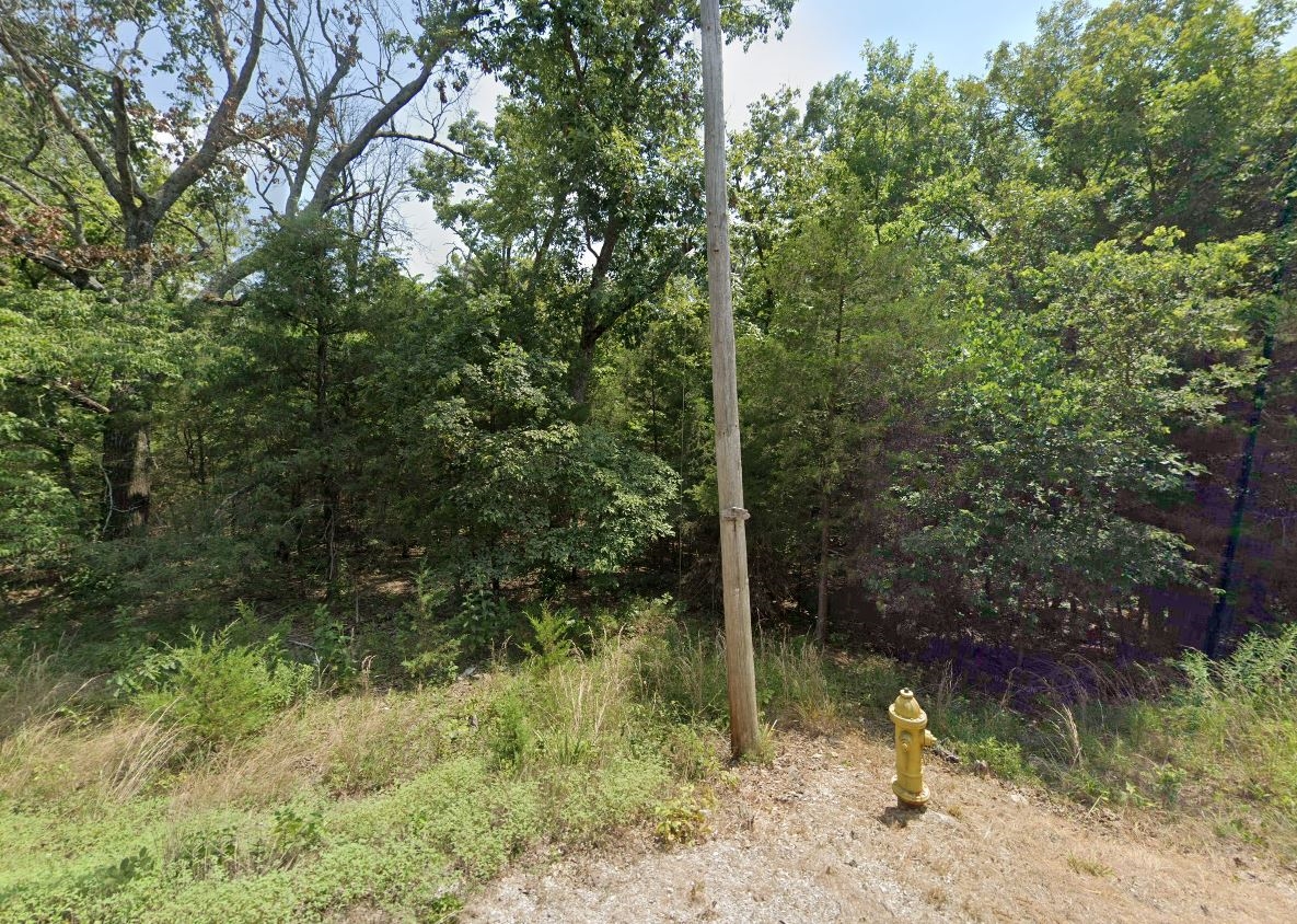 Arkansas Sharp County 0.24 Cherokee Village Lot! Superb Residential Lot on Nice Street with Homes and Power! Low Monthly Payment! - Image 13