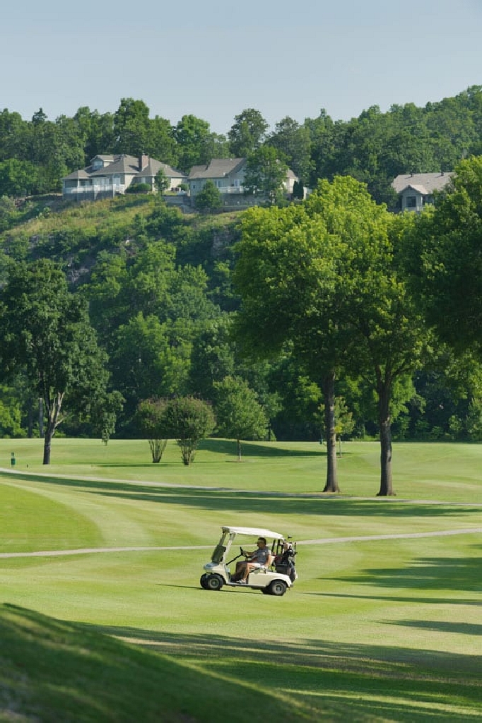 Arkansas Sharp County Lot in Cherokee Village! Great Homesite and Recreation! Low Monthly Payments! - Image 4