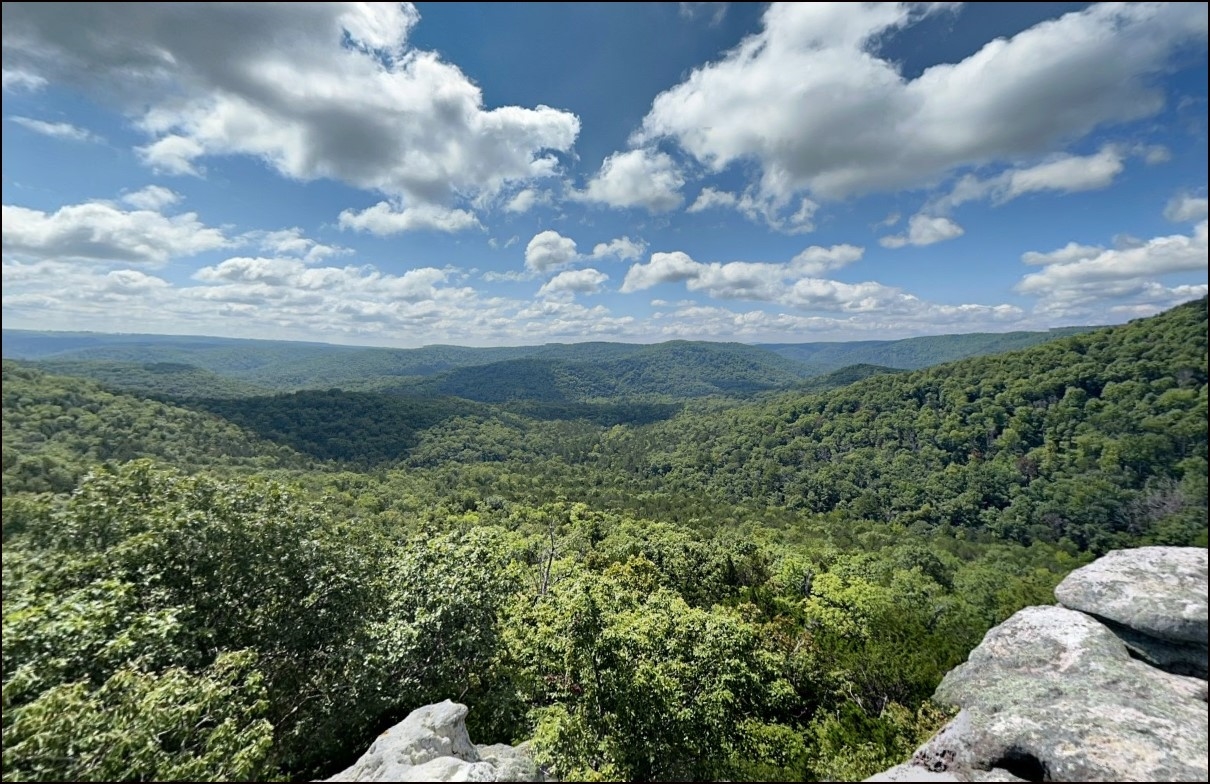 Weekday Timed Auction | Find Unique Land Opportunities - Image 8