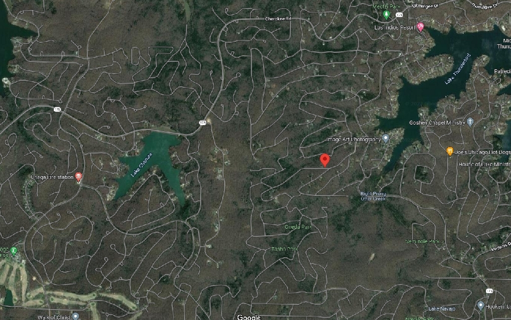 Arkansas Sharp County 0.28 Acre Amazing Cherokee Village Lot for Homesite or Investment! Loaded with Local Amenities! Low Monthly Payments!!! - Image 8