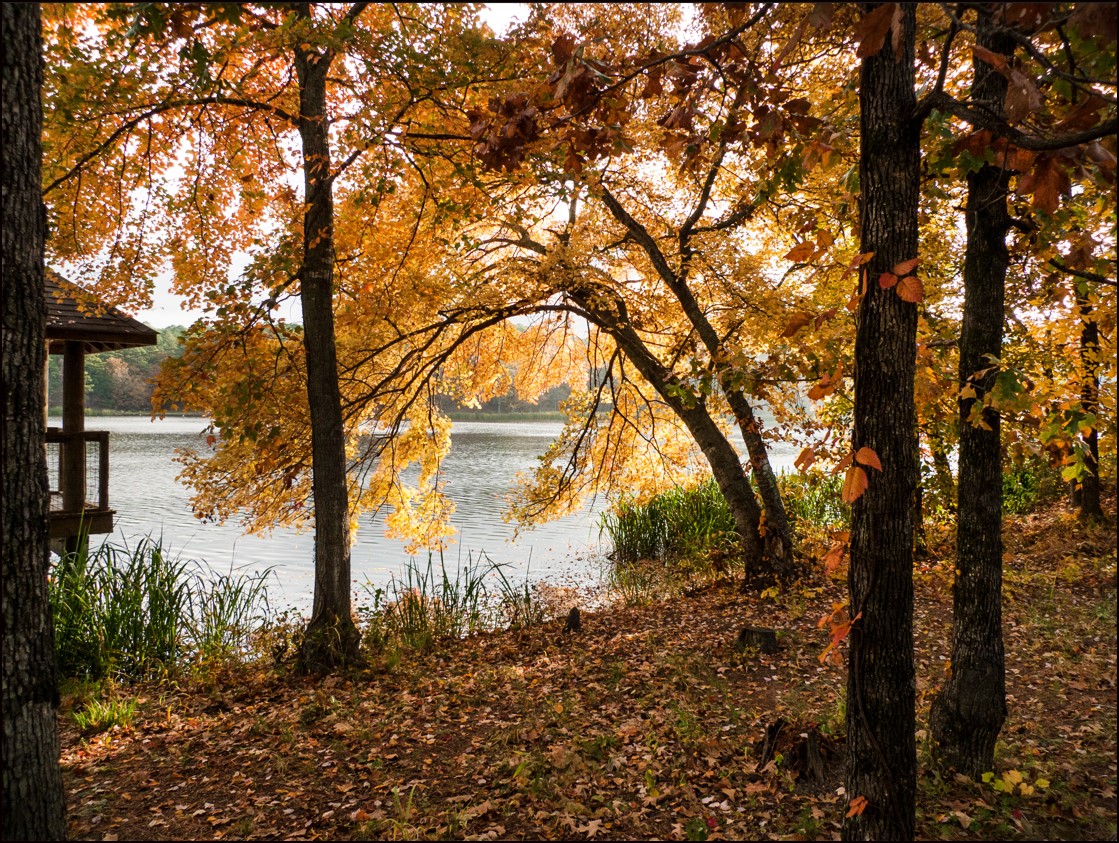 Rare Corner Lot on Top of Hill! Arkansas Sharp County Cherokee Village Superb Lot in Great Location! Low Monthly Payments! - Image 4