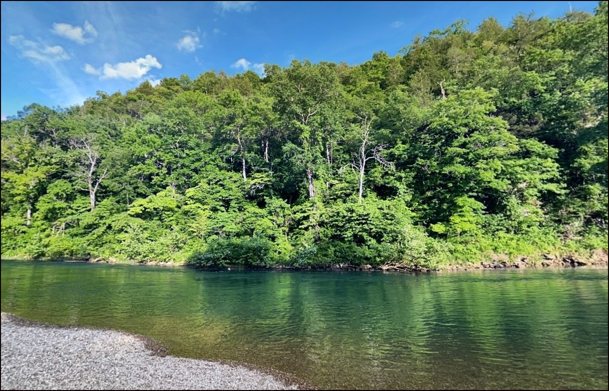 Arkansas Sharp County 0.21 Acre Cherokee Village Lot! Fantastic Location Near Lake Sequoyah! Incredible Investment! Low Monthly Payments! - Image 4