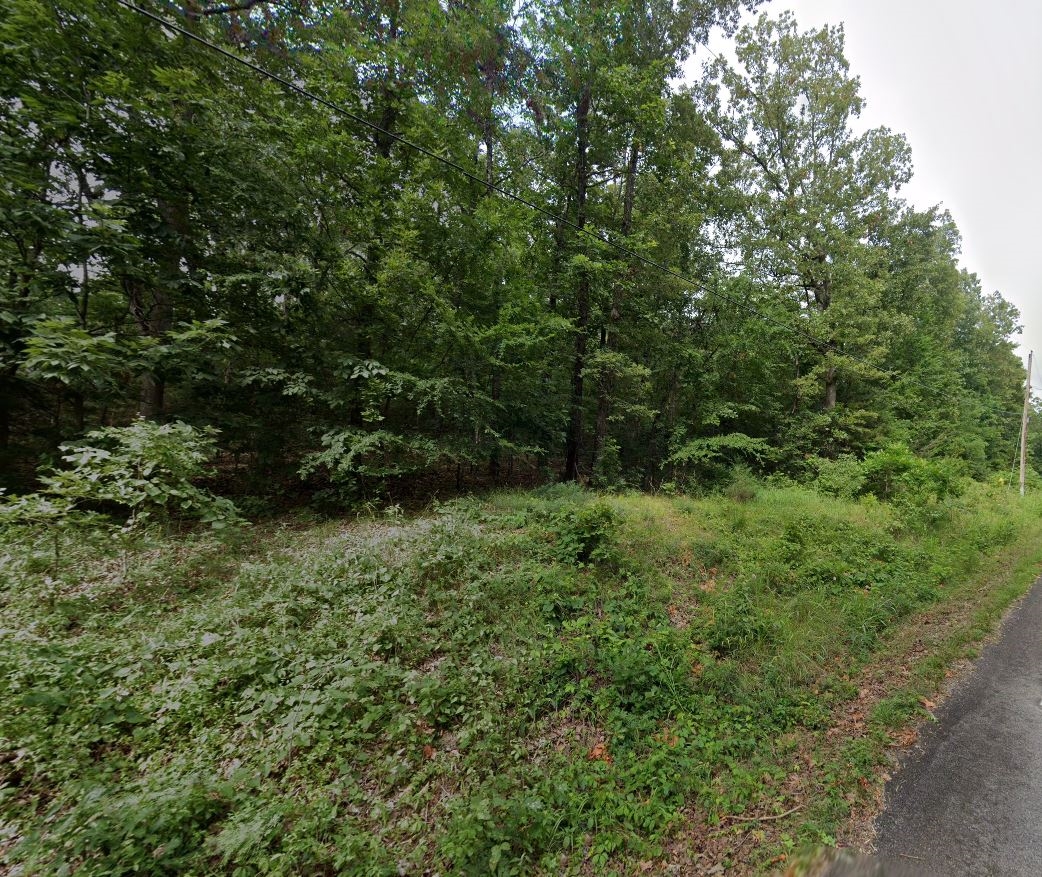 Arkansas Sharp County Fantastic Cherokee Village Partially Cleared Lot! Prime Location Near Lake Sequoyah! Low Monthly Payments! - Image 13