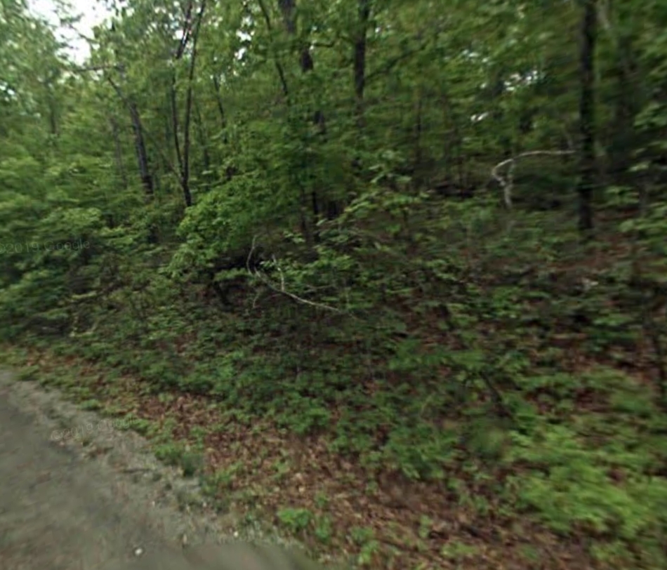 Arkansas Sharp County 0.24 Acre Cherokee Village Lot near Lake Sequoyah! Great Investment! Low Monthly Payments! - Image 3