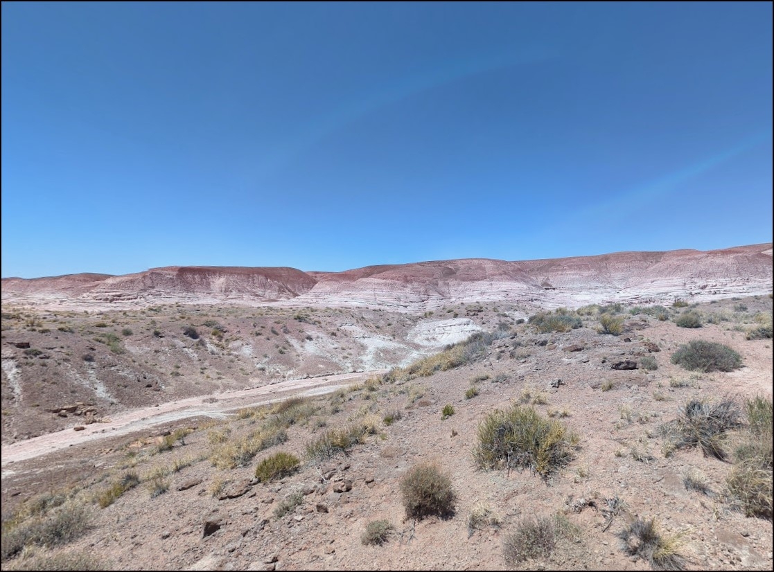 40 Acre Navajo County Arizona Lot Near Painted Desert and Holbrook Region