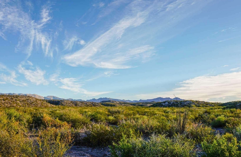 Rio Grande Area Acreage in Hudspeth County with Southern Desert Charm - Image 3