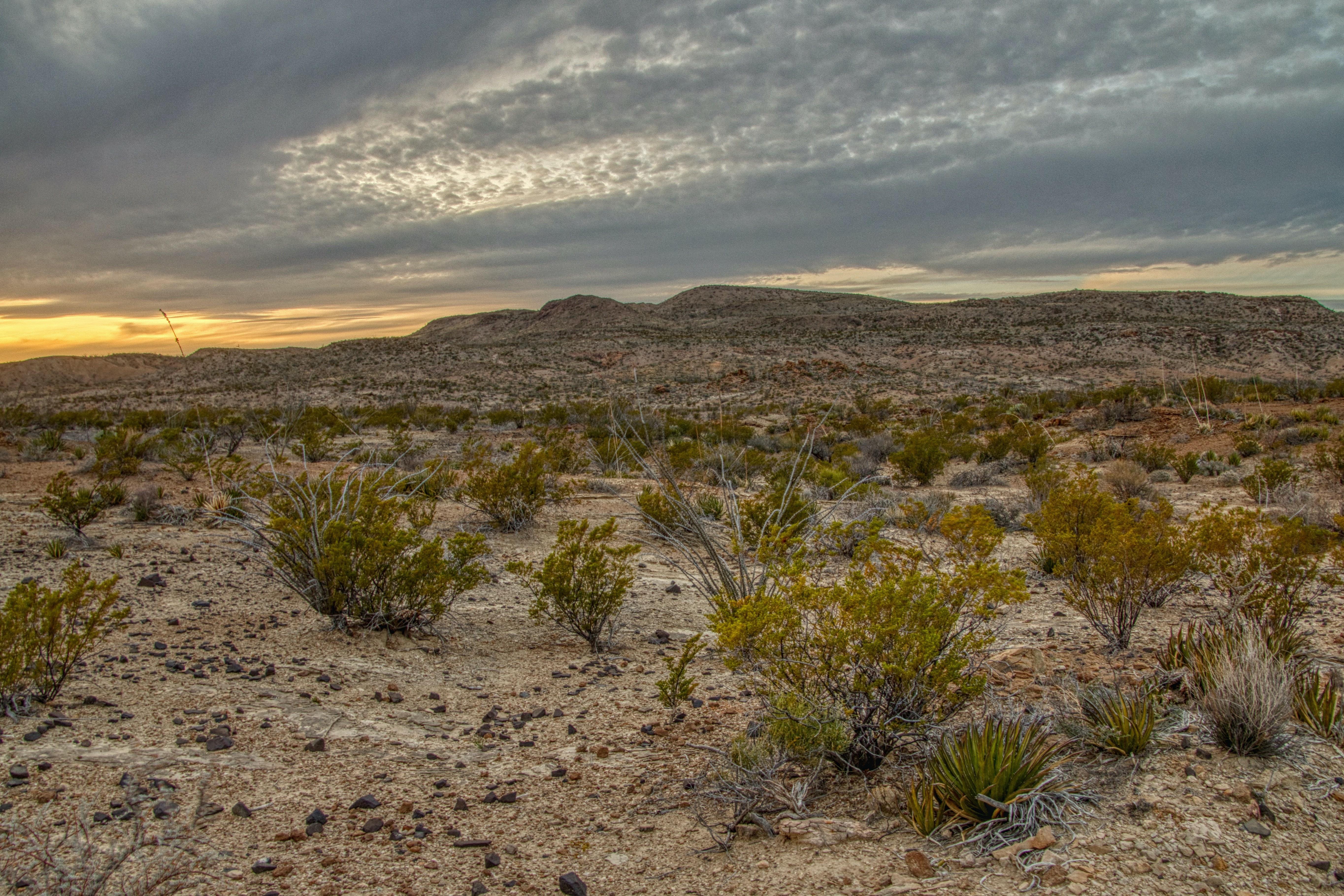 Texas Hudspeth County 10 Acre Property with Easement and Nearby Dirt Road! Great Investment Loaded with Natural Amenities! Low Monthly Payments! - Image 2