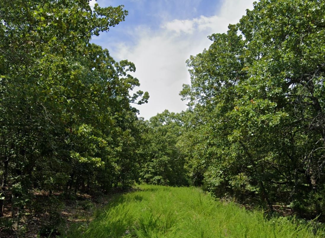 Arkansas Fulton County 0.33 Acre Corner Lot in Cherokee Village! Fantastic Investment! Low Monthly Payments! - Image 3