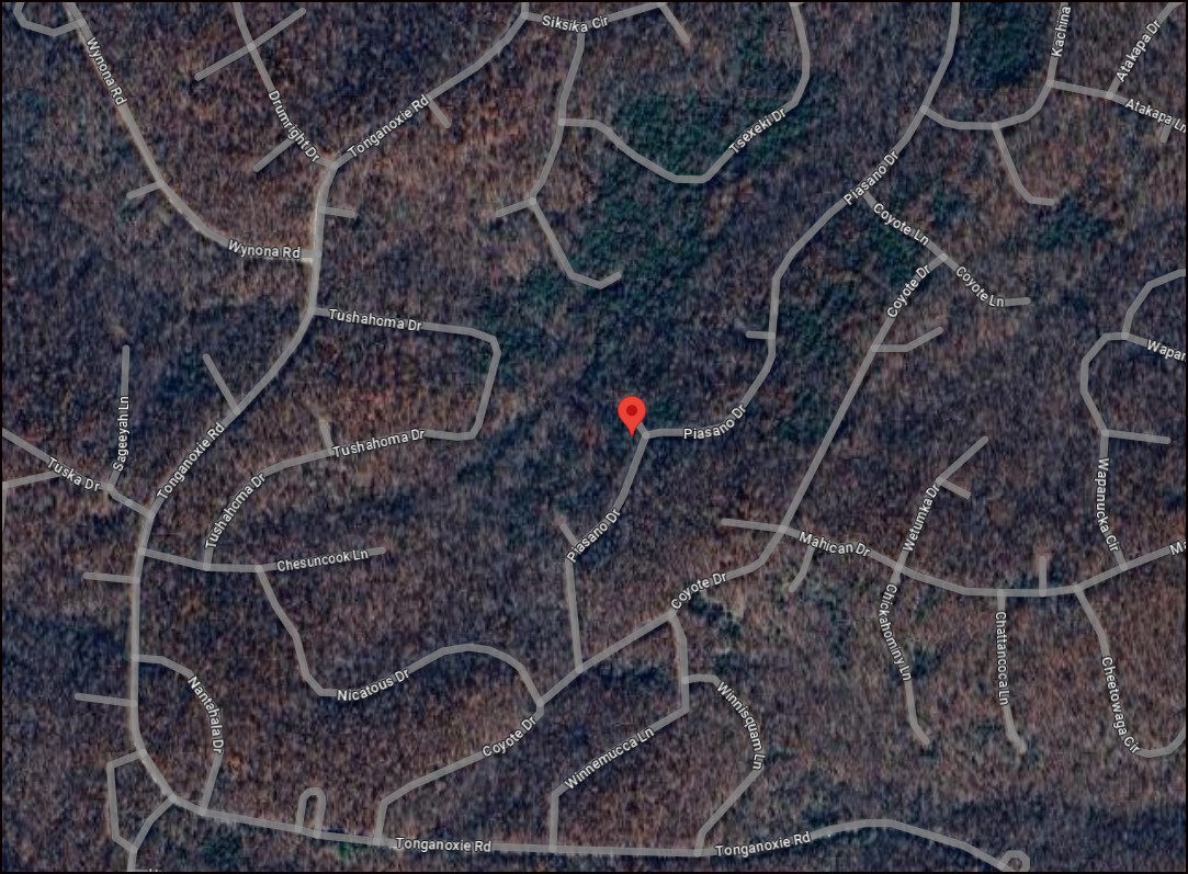 Arkansas Fulton County 0.33 Acre Corner Lot in Cherokee Village! Fantastic Investment! Low Monthly Payments! - Image 7