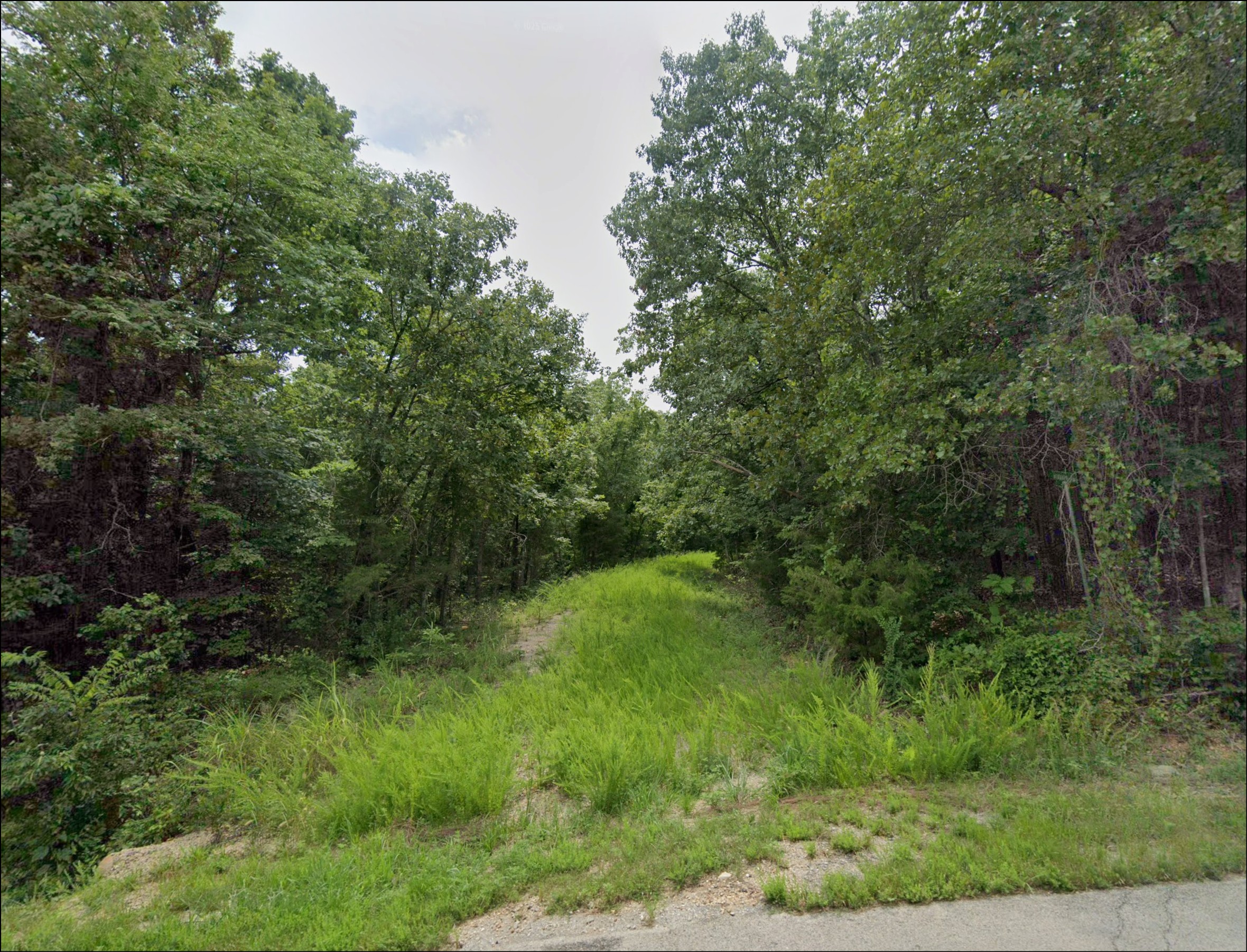 Arkansas Fulton County 0.33 Acre Cherokee Village Lot! Great Investment Near Lake Omaha! Low Monthly Payments! - Image 3