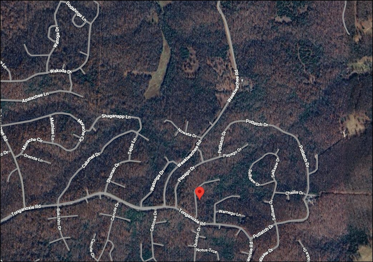 Arkansas Fulton County 0.55 Acre Rare Double Lot in Cherokee Village! Great Investment Loaded with Resort Amenities! Low Monthly Payments! - Image 7