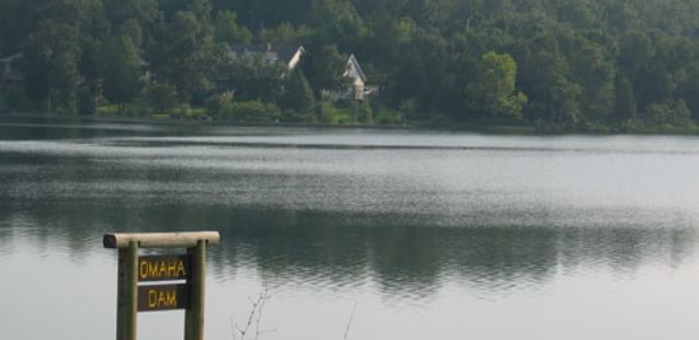 Single Lot Cherokee Village Property in Fulton County Arkansas just off Main Route Tonganoxie Road near Recreational Lake Omaha and Community Center! Low Monthly Payment! - Image 3