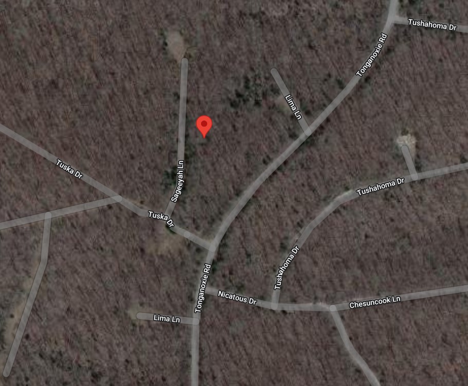 Single Lot Cherokee Village Property in Fulton County Arkansas just off Main Route Tonganoxie Road near Recreational Lake Omaha and Community Center! Low Monthly Payment! - Image 6