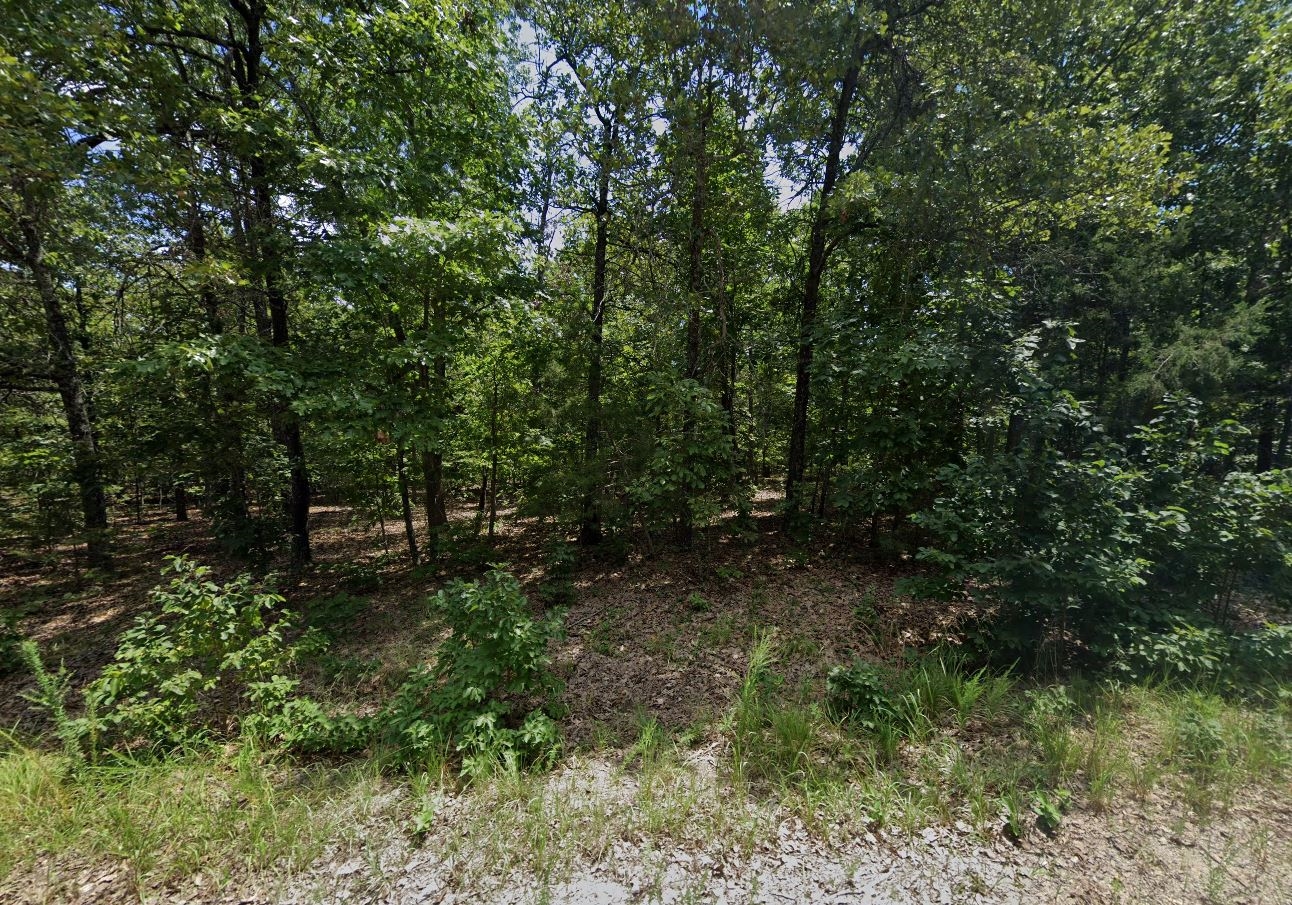 Single Lot Cherokee Village Property in Fulton County Arkansas just off Main Route Tonganoxie Road near Recreational Lake Omaha and Community Center! Low Monthly Payment! - Image 8