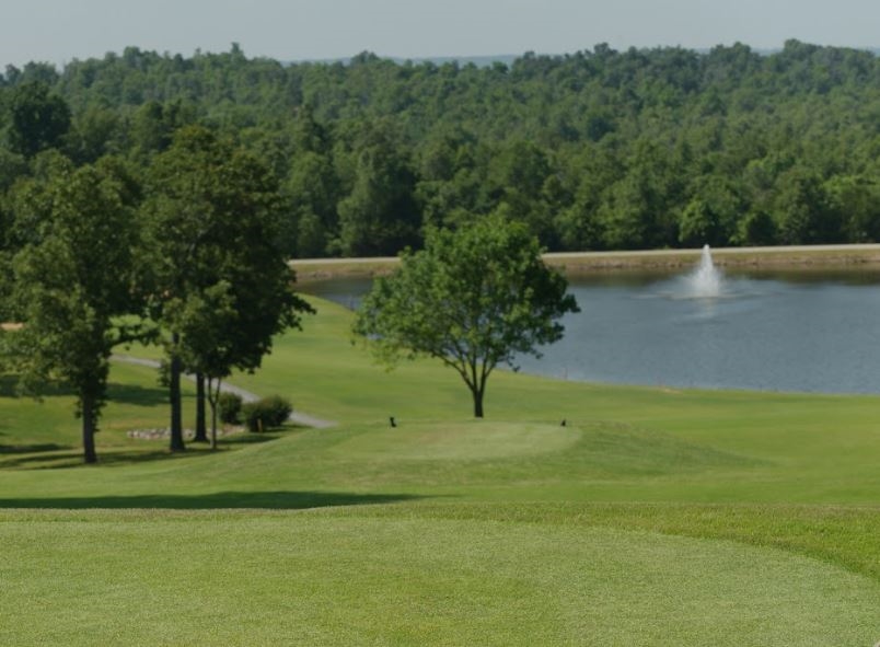 Single Lot Cherokee Village Property in Fulton County Arkansas just off Main Route Tonganoxie Road near Recreational Lake Omaha and Community Center! Low Monthly Payment! - Image 9