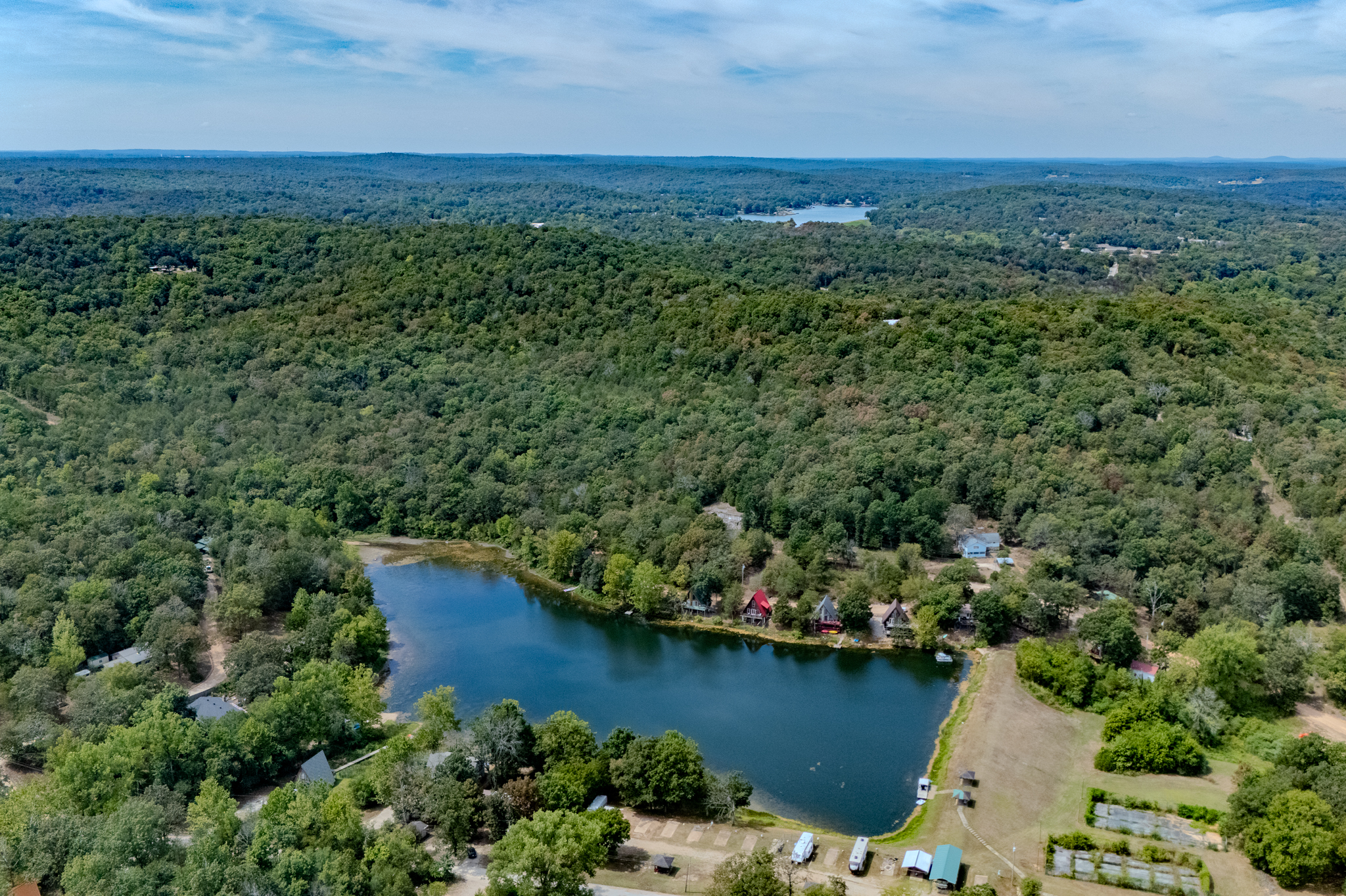 Tuesday Feature Auction |  Join Us Live To Ensure You Win