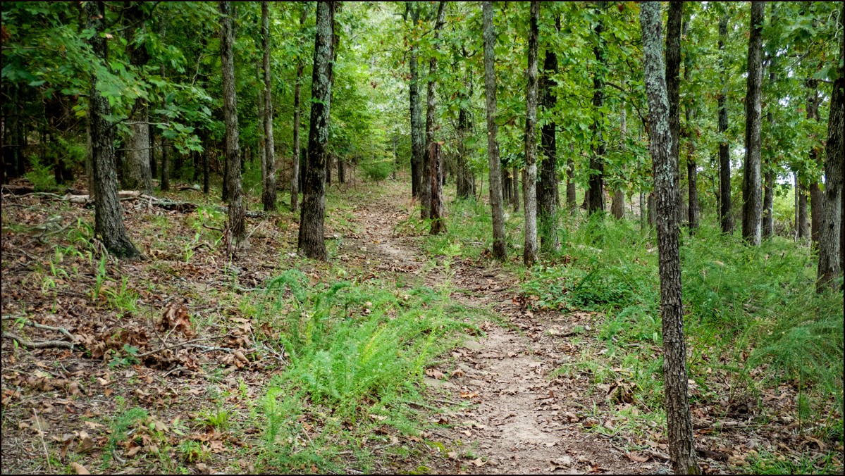 Arkansas Fulton County 0.76 Acre Triple Lot In Private Area of Cherokee Village! Rare Large Secluded Parcel! Low Monthly Payments! - Image 3