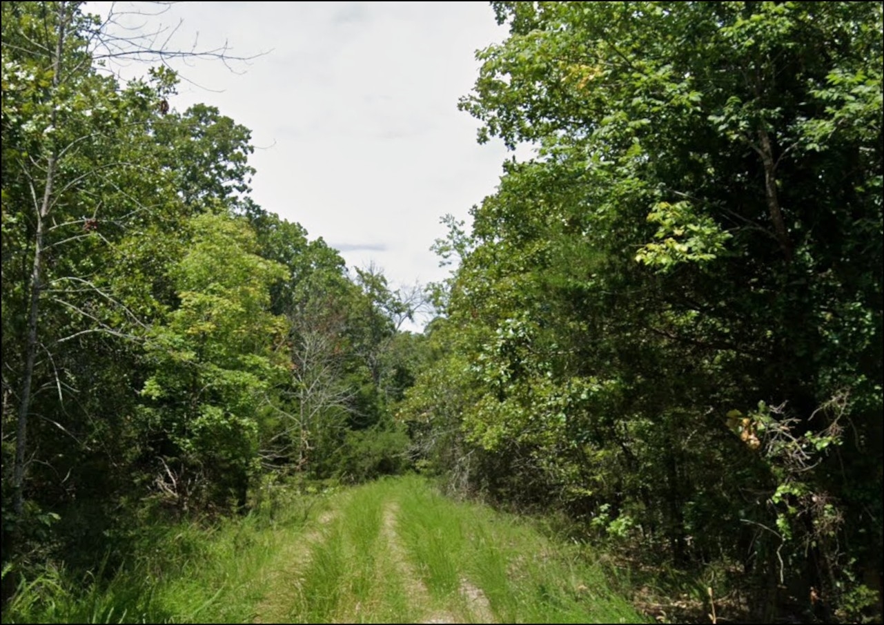 Double Lot In Cherokee Village Near Spring River Country - Image 3