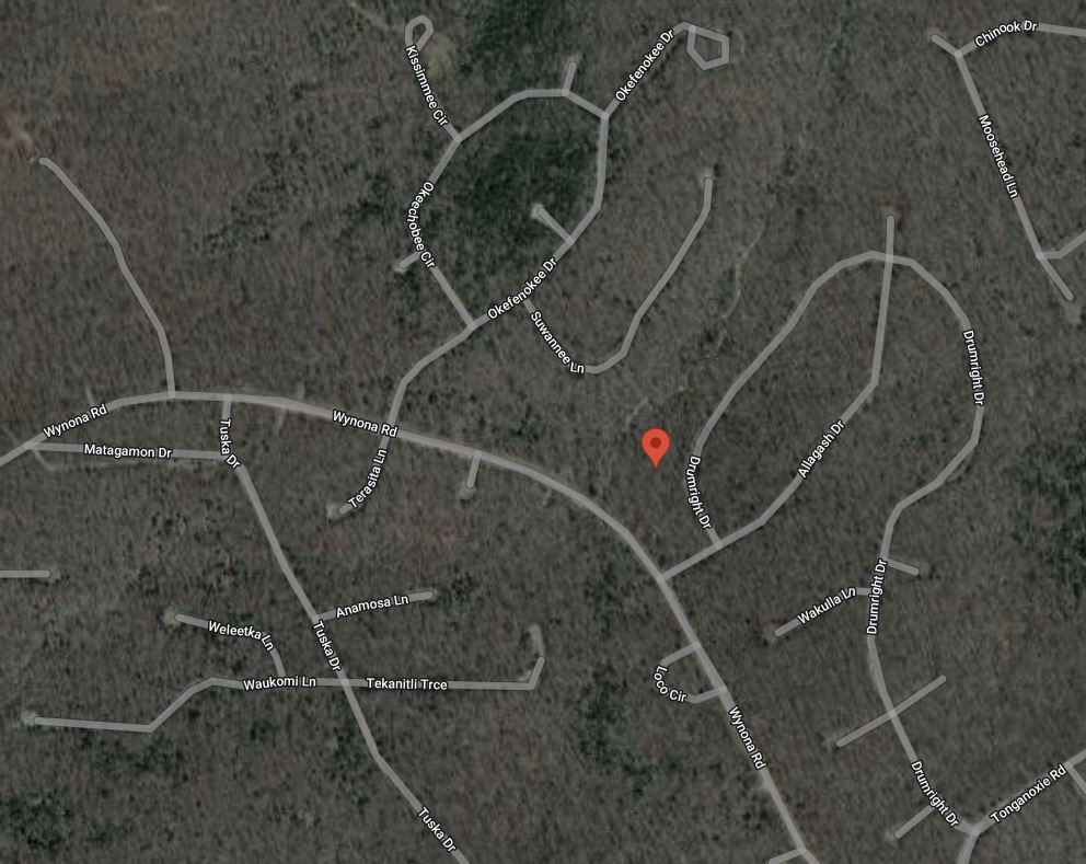 DOUBLE LOT Rare Arkansas Fulton County Adjoining Property in Cherokee Village! Great Investment! Low Monthly Payments! - Image 7