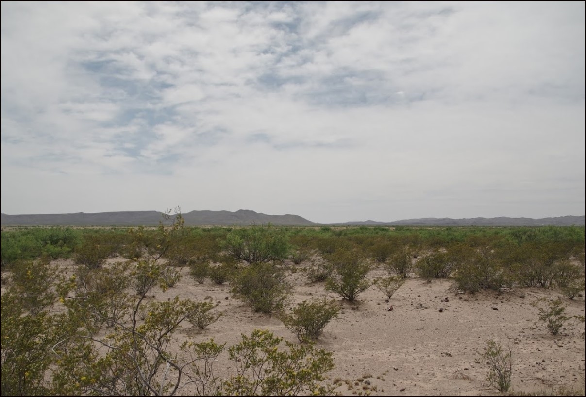 Texas Hudspeth County 0.14 Acre Dell Garden Estates Lot! Great Investment Near Highway with Superb Mountain Views! Low Monthly Payments!