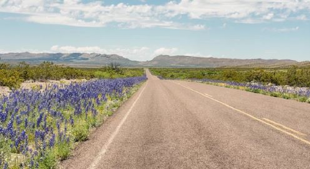 La Hacienda Estates Lot in Hudspeth County Texas! Low Monthly Payments! - Image 7