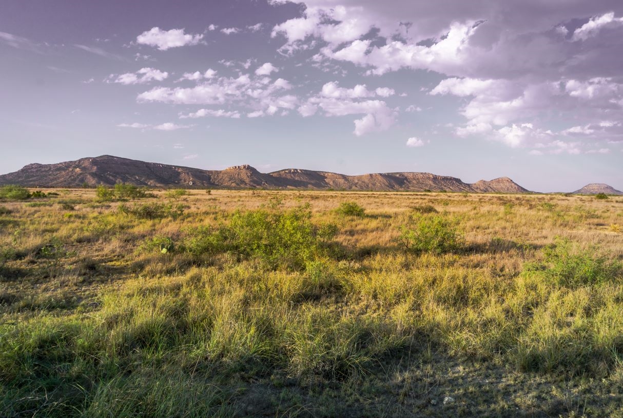 Texas Hudspeth County 0.137 Acre Dell Garden Estates Lot! Great Investment Opportunity near Highway with Mountain Views! Low Monthly Payments! - Image 4