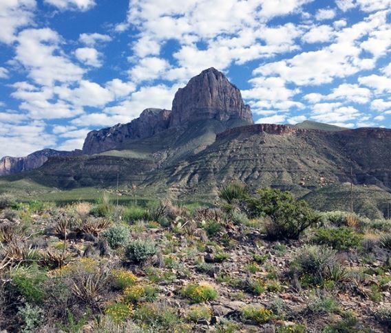Dell City Parcel in Hudspeth County Near Guadalupe Mountains National Park - Image 5