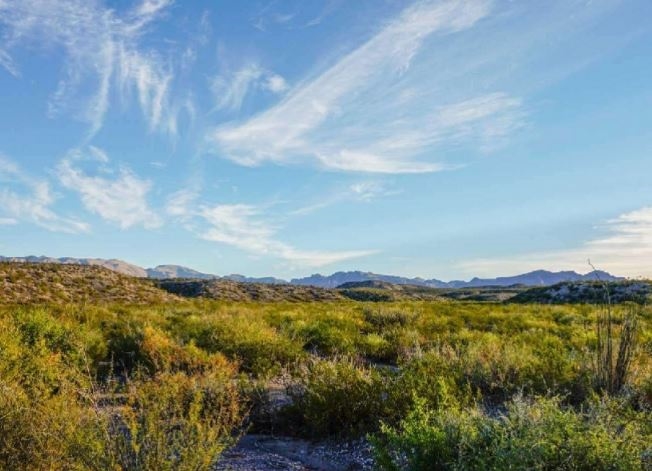Wednesday Timed Land Auction | Nationwide Opportunities - Image 8
