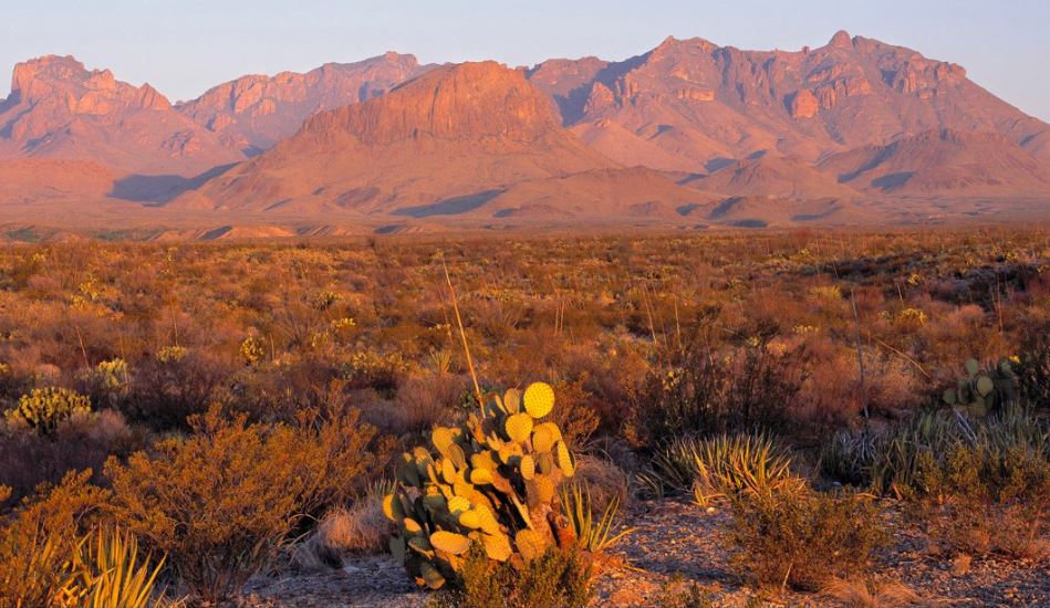 Dell Garden Estates Lot for a Simple Hudspeth County Land Hold Near Town Routes