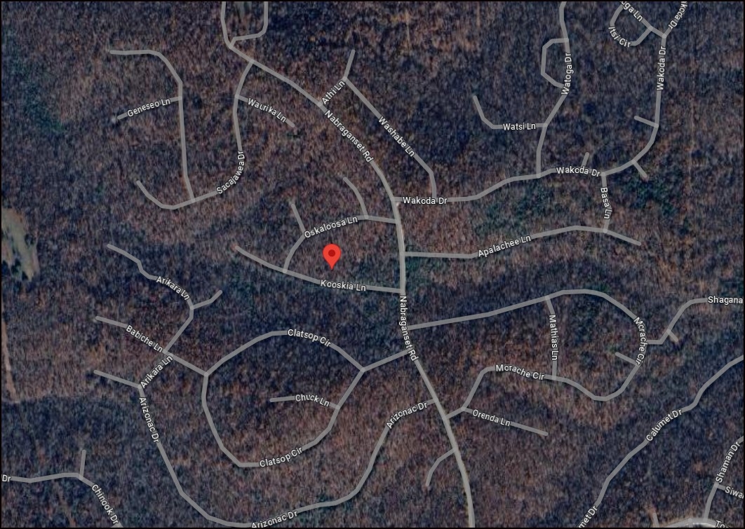 RARE TRIPLE LOT! Arkansas Fulton County 0.79 Acre Cherokee Village Investment Homesite! Low Monthly Payments! - Image 10