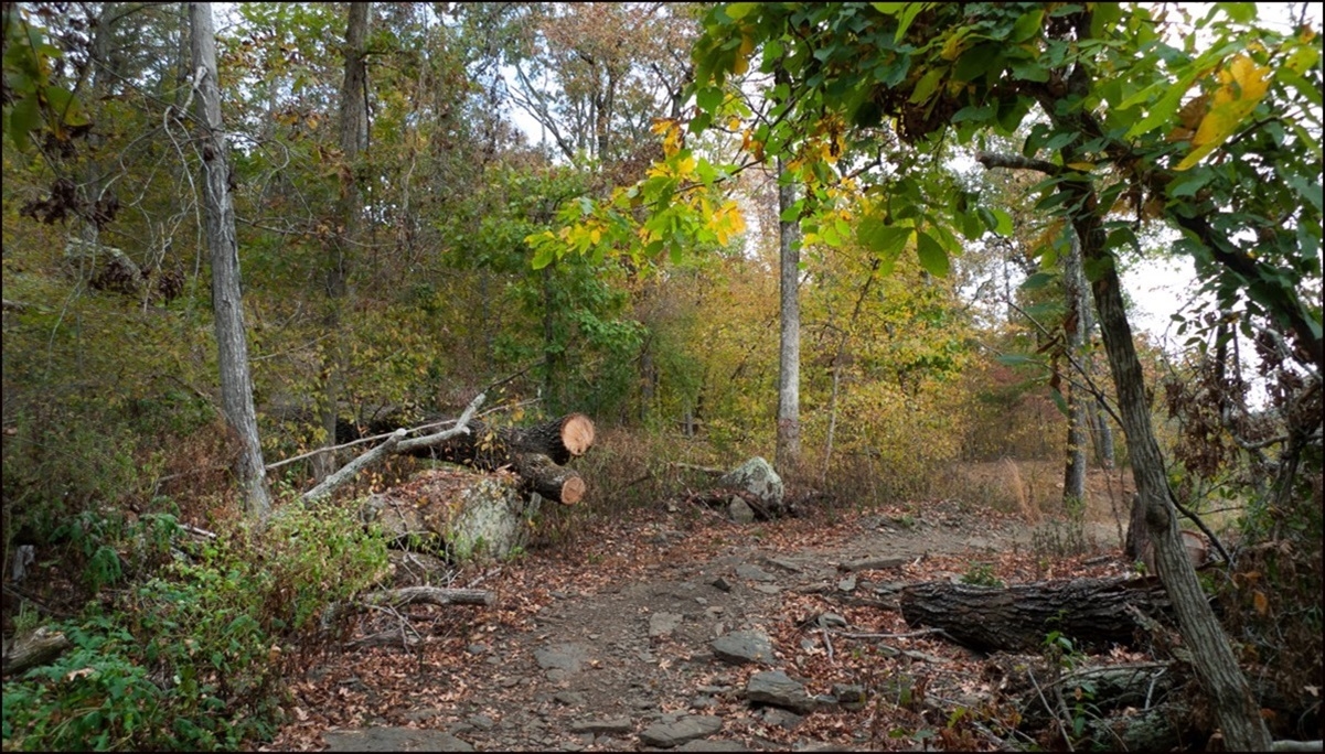 RARE TRIPLE LOT! Arkansas Fulton County 0.79 Acre Cherokee Village Investment Homesite! Low Monthly Payments! - Image 4