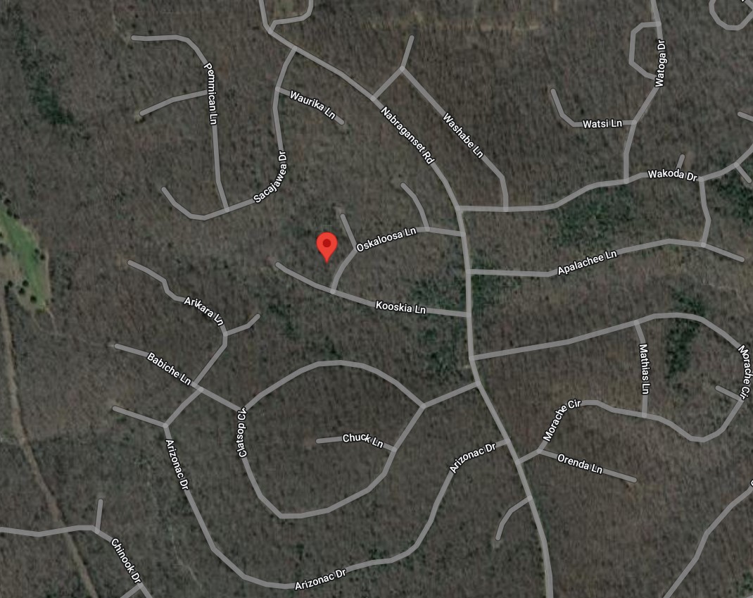 Cherokee Village Double Lot Rare Investment in Fulton County Arkansas with Low Monthly Payments! - Image 6