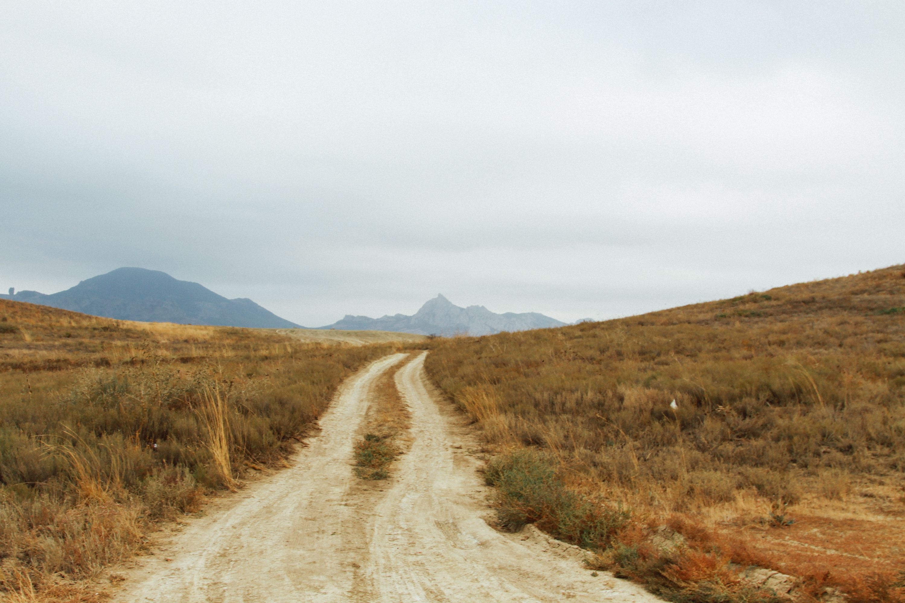 Rural Land Auction | Claim Your Corner of the Outdoors - Image 9