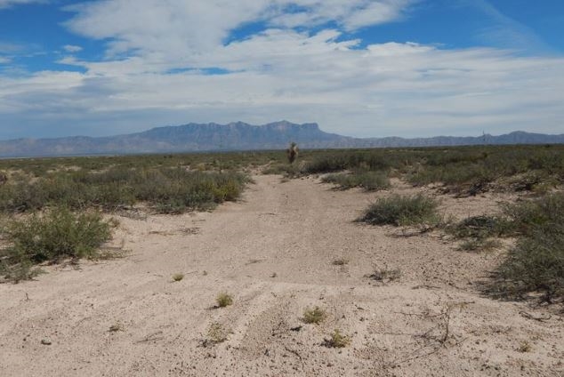 Wednesday Timed Land Auction | Nationwide Opportunities - Image 3