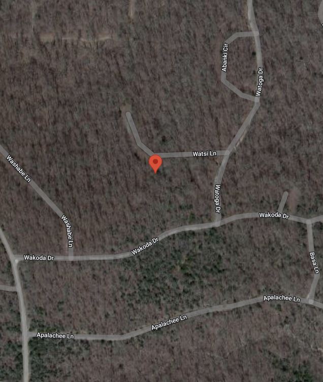 DOUBLE LOT! Cherokee Village Adjoining Property in Fulton County Arkansas! Recreational Community with Amenities! Low Monthly Payment! - Image 5
