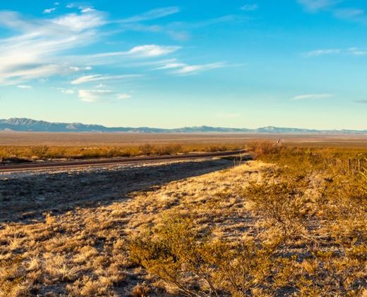 Texas Land Fantastic 11 Acre Property in Hudspeth County with Dirt Road Easement Access! Low Monthly Payment!