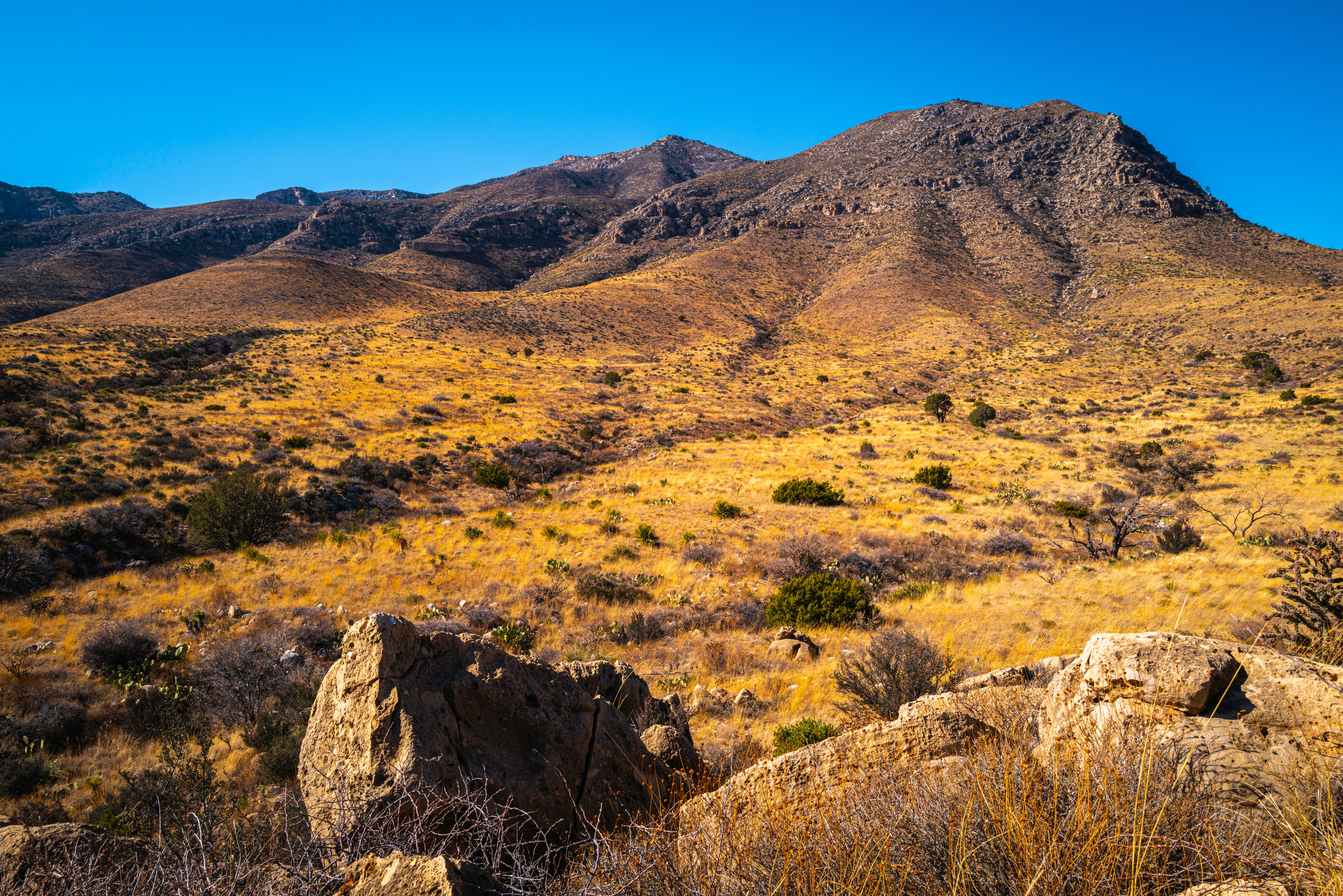 Texas Hudspeth County 11 Acre Land near Dell City! Fantastic Investment with Dirt Trail and Incredible Mountain Views! Low Monthly Payments! - Image 3