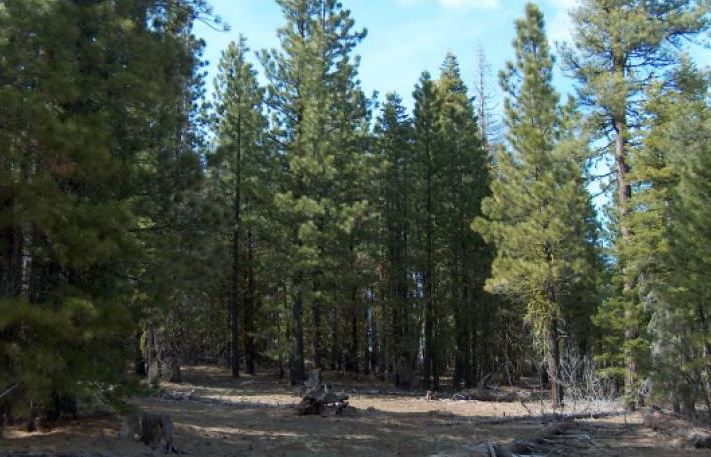 Northern California Modoc County 1.69 Acre Large Property with Fantastic Mountain Views And Recreation! Low Monthly Payments! - Image 3