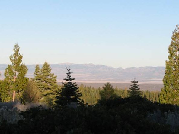 Northern California Modoc County 1.69 Acre Large Property with Fantastic Mountain Views And Recreation! Low Monthly Payments! - Image 4